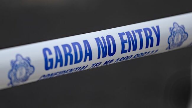 ‘The community is stunned’ – man (21) killed in Carlow was accidentally shot by friend as they hunted foxes, gardaí believe