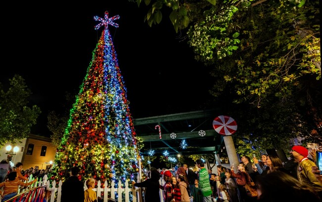 When did Christmas trees start to appear at Southern California holiday celebrations?