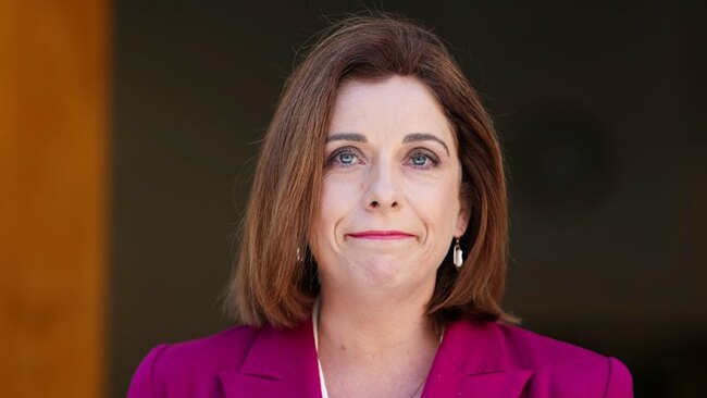 Wells refers her expenses to independent watchdog for audit