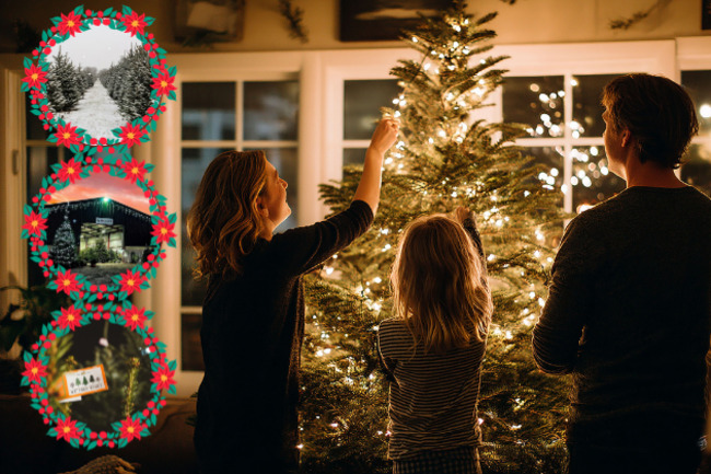 11 magical Christmas tree farms in and around Leeds for your last-minute spruce