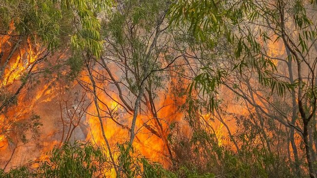 Residents urged to flee immediately as bushfire rages in Perth’s east