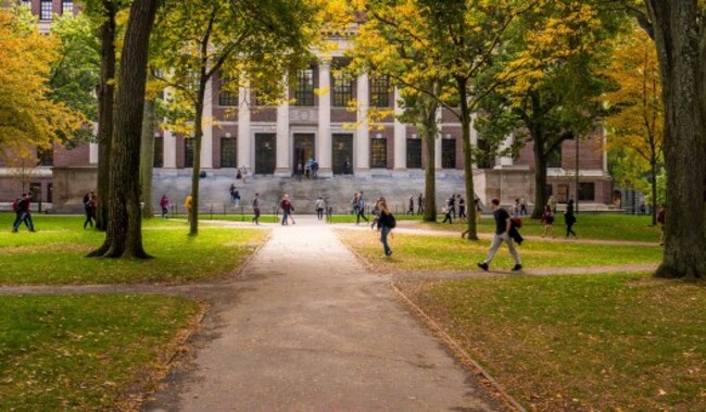 It’s the Incentives, Stupid