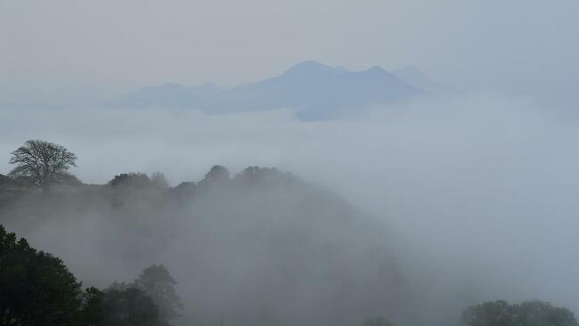 Study reveals that Karnataka and Tamil Nadu students show higher empathy and pro-wildlife attitudes