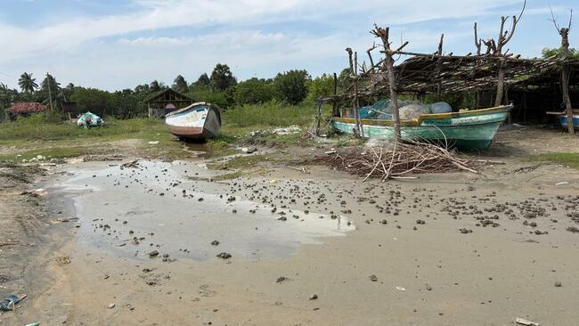Nagapattinam’s deltaic coast caught in ‘silky crisis’ with sinking shores