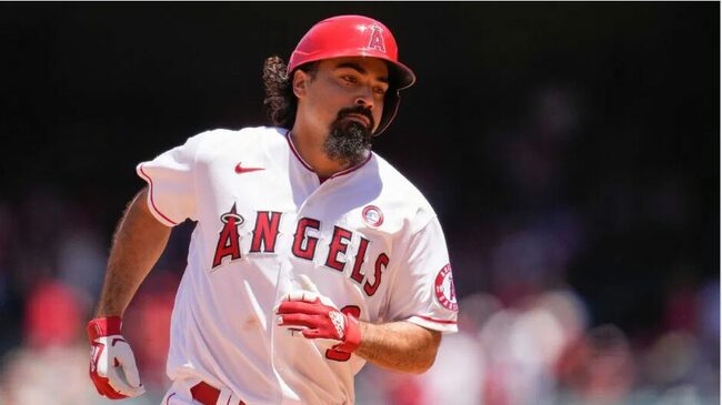 Angels Told to Go All-In on Japanese Talent in Offseason After Major Anthony Rendon Decision