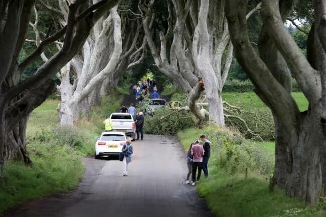 Farmers For Action call for clarity on road directions to world famous Dark Hedges