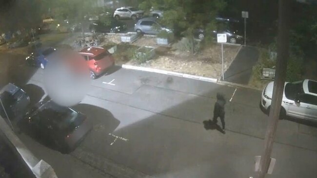 Police hunt suspect after teenager gunned down in Melbourne