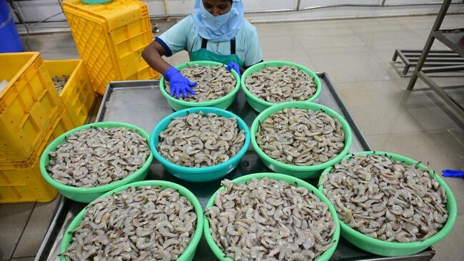 Hike in tariff: seafood exports to U.S. drop by 25%