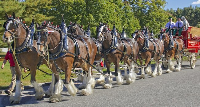WRITTEN IN GRANITE: Former Budweiser plant may be put on ICE