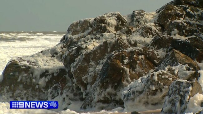 Bombshell claim that government staffers tried to delay algal bloom investigation