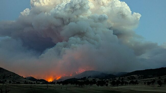 Fears blaze will jump Victorian border as fire bans declared across NSW