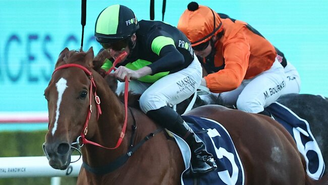 Race-by-race preview and tips for Wyong on Saturday