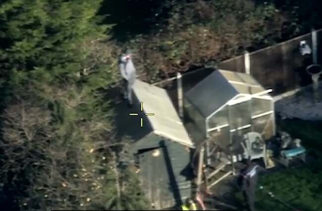 Watch moment man is arrested after trying to hide from police in gardens - and got stuck on a shed roof