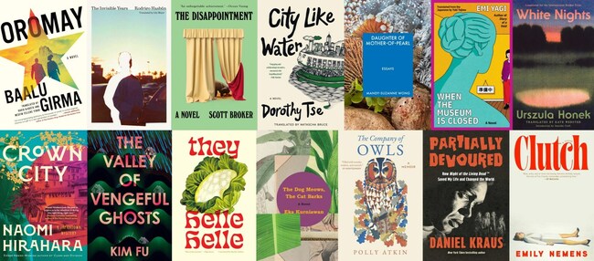 27 independent press books to add to your 2026 TBR list