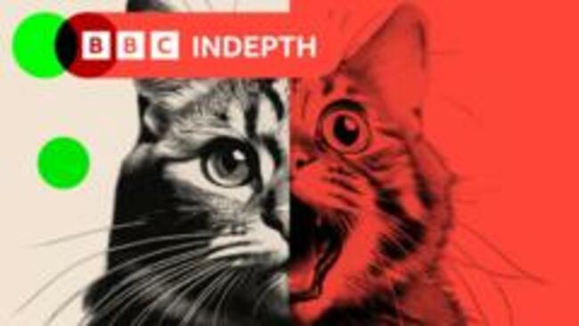 AI 'slop' is transforming social media - and a backlash is brewing