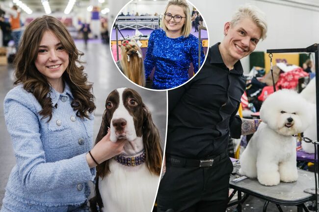 Stressed-out owners, pooches get their ’taches groomed: As Westminster’s winner is crowned, The Post goes behind the scenes for the real action