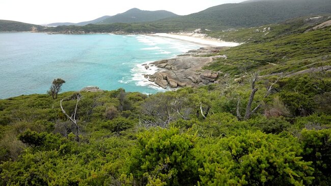 This beach was crowned Australia’s best. Is it being ‘loved to death’?