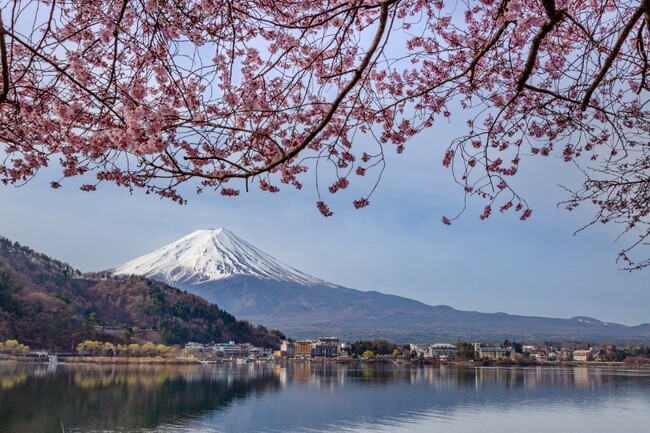 Souguer d'Gäert goufen als Toilette benotzt: Beléifte Kiischtebléiefest beim Fuji wéinst ze vill Touristen annuléiert