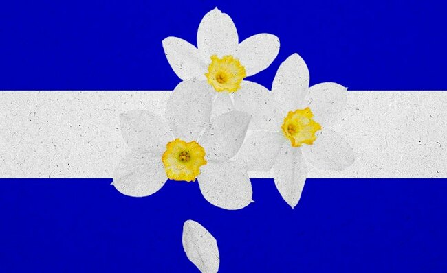 I’m Jewish. I live in Bondi. But I take no comfort from Herzog’s visit