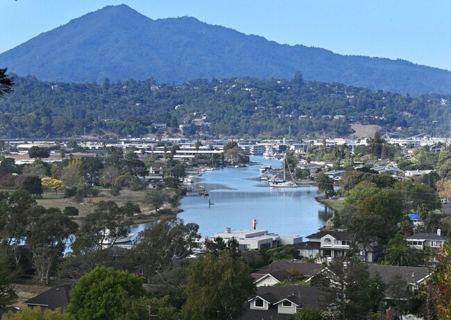 San Rafael sea-level report evaluates options for Canal area