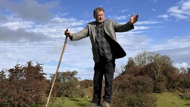 ‘I can’t remember being on the plane’ claims ‘fairy whisperer’ who sexually assaulted teen on Boston flight