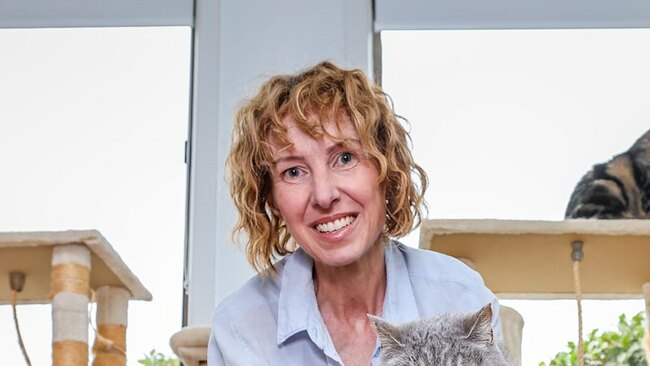 The home owners spending thousands to design their homes for their cats