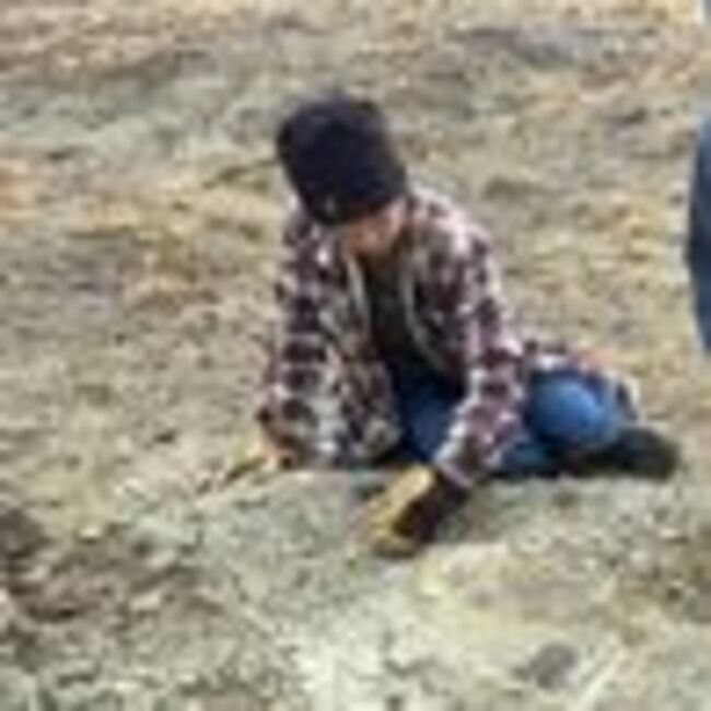 Schoolboy, 11, makes historic 48million-year-old fossil discovery with grandparents