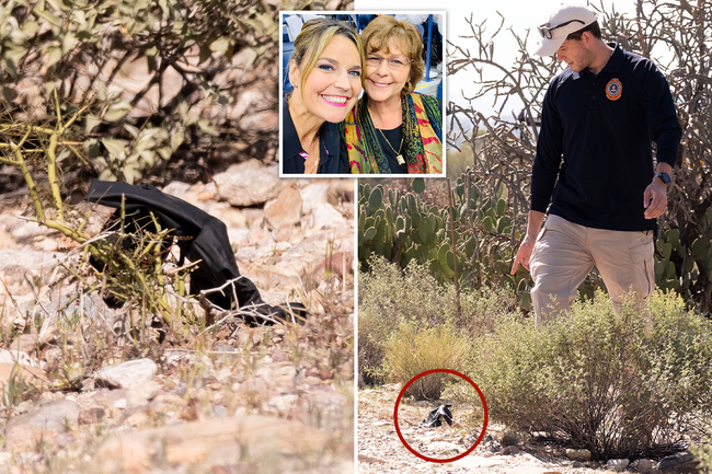 Mysterious black glove found near Nancy Guthrie’s home could hold crucial clue: former FBI agent