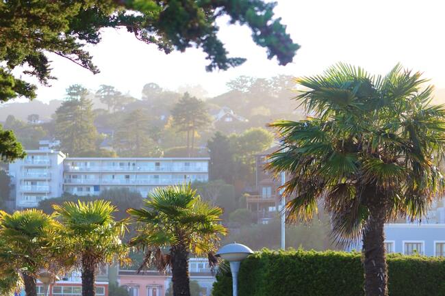 Thursday Morning What's Up: A Break In the Rain