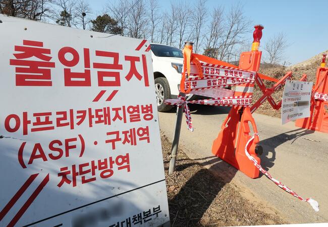 New swine fever case reported in Hwaseong