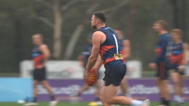 AFL star May retires suddenly