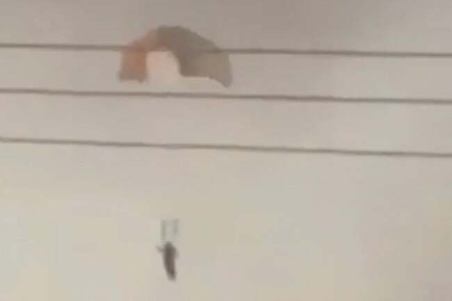 Who shot down three US fighter jets over Kuwait?