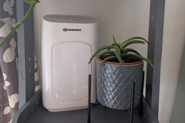 The £35 dehumidifier that tackles damp and mould at a fraction of the cost