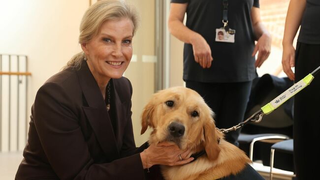 Duchess Sophie fawns over adorable guide dog puppies in 'heartwarming' outing - best photos