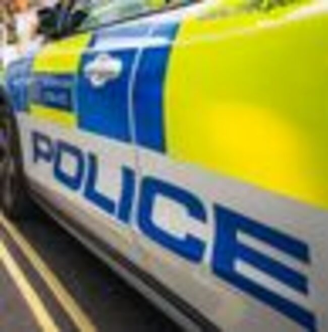 Manhunt launched after woman, 71, is found 'murdered at home' in London