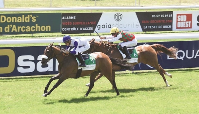 Khalifa bin Sheail al-Kuwari’s Lady Princess cruises to victory on return
