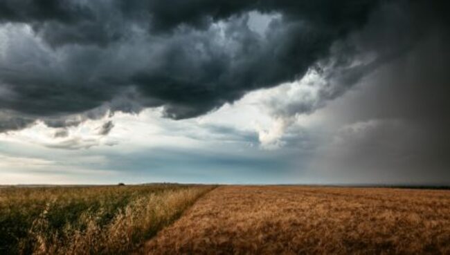 Calm the Volatility Storm With These 2 ETFs