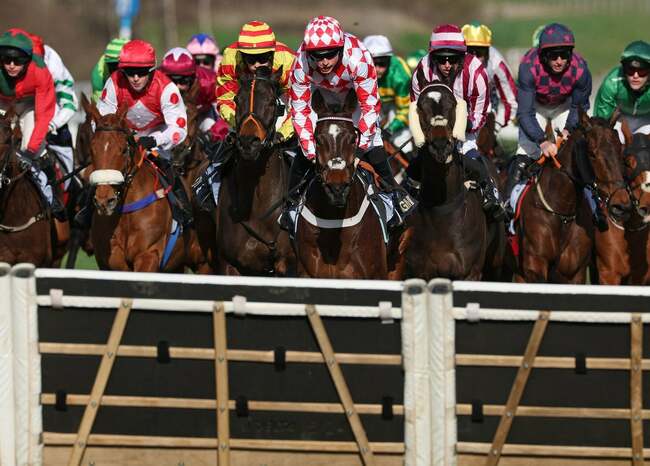 Five betting tips for day three of the Cheltenham Festival
