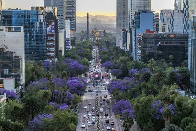 So you want to be an expat? Here’s how to make it in Mexico