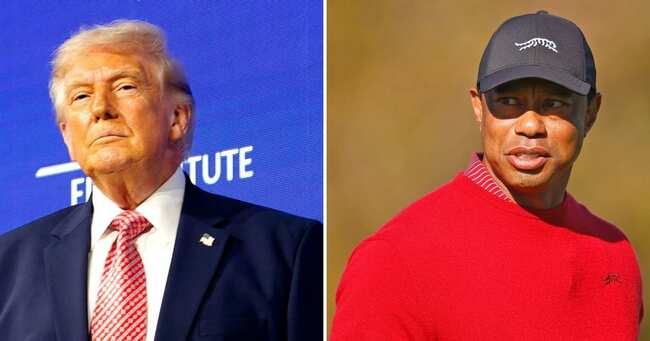 President Donald Trump Reacts to Tiger Woods' DUI Arrest
