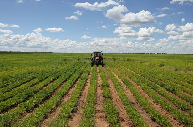 South African farmers left counting the costs of Iran war ahead of harvest