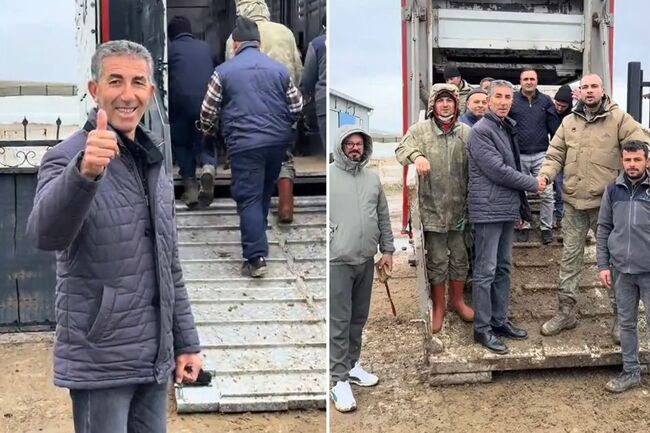 Koyun satın alırken Türkiye'de bir ilki gerçekleştirdi