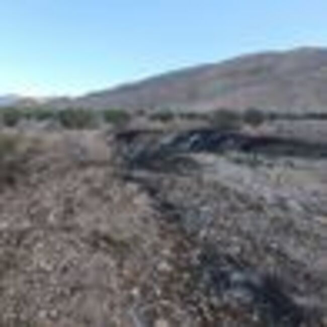 Everything we know as US F15 fighter jet shot down over Iran and crew member hunted