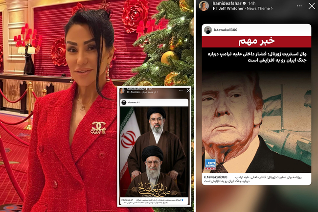 Niece of notorious Iranian Gen. Soleimani cheered Tehran’s threats, boosted regime propaganda in social posts before ICE arrest