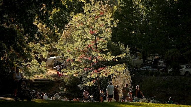 ‘We hope no one lied to us’: Alpine towns fear Dezi Freeman accomplices are among them