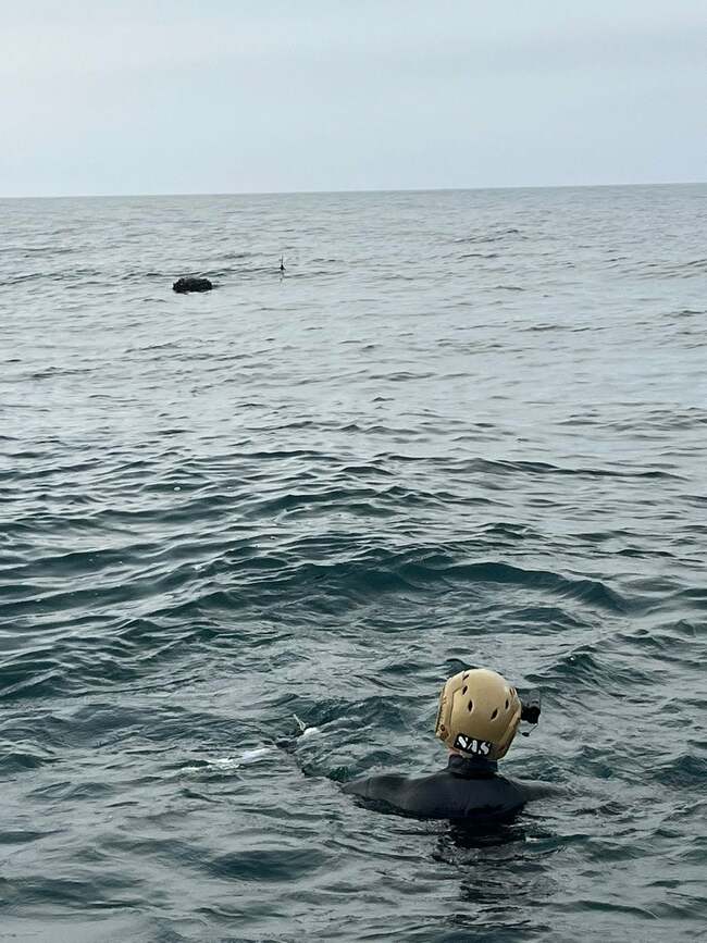 MSB: İğneada açıklarındaki mayın SAS timleri tarafından imha edildi