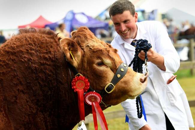 The dedicated volunteers who keep Yorkshire's agricultural shows alive