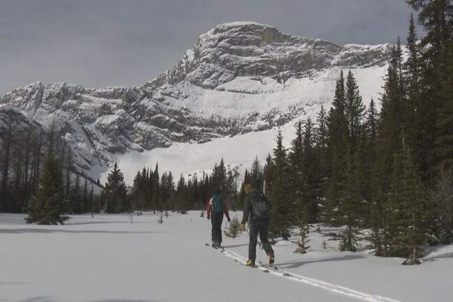 Alberta snowpacks much deeper thanks to heavy snowfall