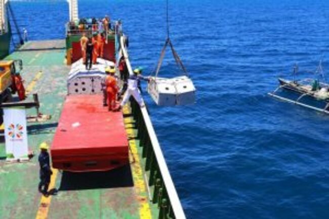 Church, partners install artificial reefs off Cebu to boost fish stocks