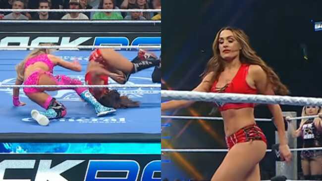 BREAKING: Nikki Bella Told Brie Bella Her Ankle Is Broken After Charlotte Flair Move During Match Before WrestleMania - Major Update
